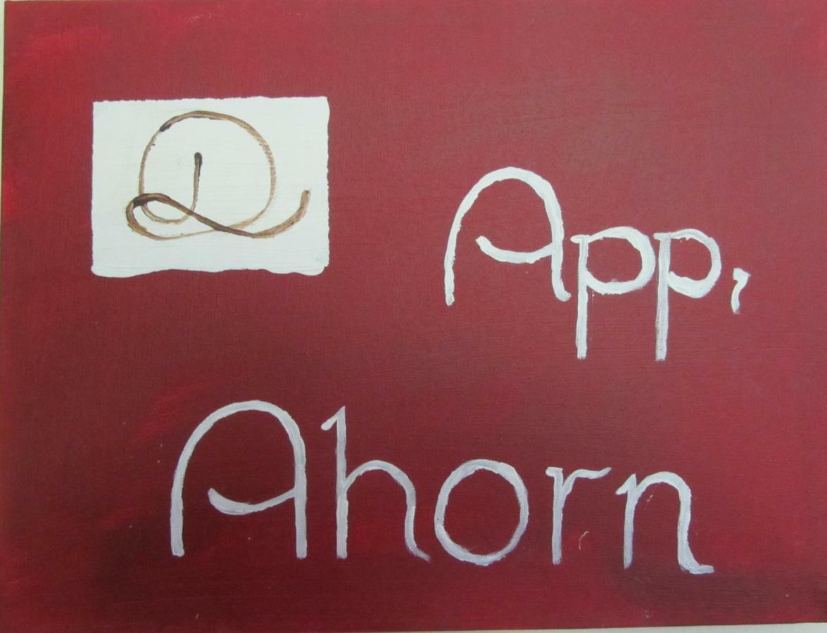 Appartementhaus Sennhuettn 弗林肯贝格 外观 照片
