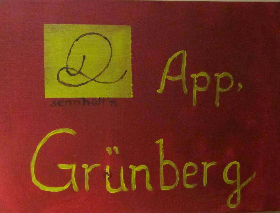 Appartementhaus Sennhuettn 弗林肯贝格 外观 照片