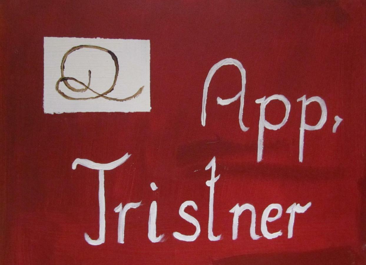 Appartementhaus Sennhuettn 弗林肯贝格 外观 照片